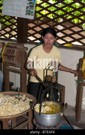 Ferme de la soie, Siem Reap, Cambodge Banque D'Images