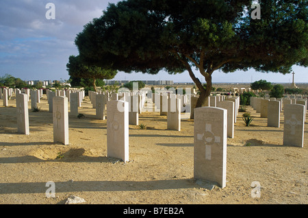 Commonwealth War Graves Commission cemetery tombes de soldats morts à la guerre EL ALAMEIN WESTERN DESERT EGYPTE Banque D'Images