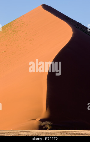 Une dune rouge sculpté à Sossusvlei, Namibie Banque D'Images