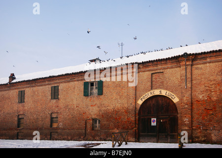 Ferme laitière près de Turin. Stupinigi, Italie. Banque D'Images