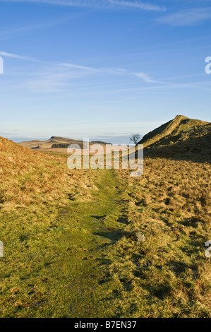 Dh Hotbank Crags mur Hadrian mur romain NORTHUMBRIA Sentier Parc National de Northumberland Banque D'Images