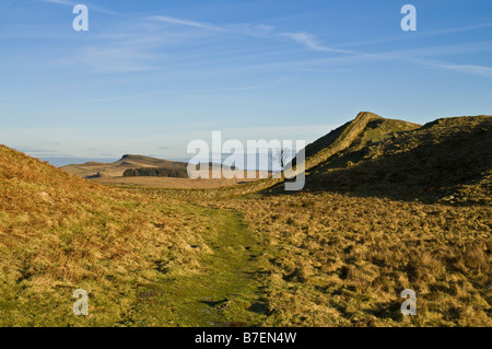 Dh Hotbank Crags mur Hadrian mur romain NORTHUMBRIA Parc National de Northumberland Banque D'Images