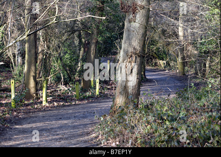 Une promenade à travers un pavillon en bois, lieu Beckenham Hill Park, Lewisham Banque D'Images