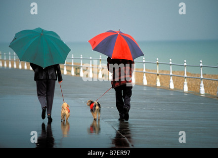 Un couple en train de marcher leurs chiens sous la pluie maintenant coloré de parasols. La promenade Sussex UK Bexhill Banque D'Images