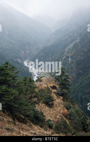 De pittoresques de la vallée de la rivière Bhote Sculpture khosi près de Phurte dans Parc national de Sagarmatha Solokhumbu région Népal Banque D'Images