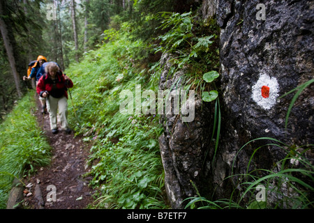 Trail signe et deux randonneurs sur l'étroit sentier en forêt près de Koenigssee Alpes de Berchtesgaden Allemagne Août 2008 Banque D'Images