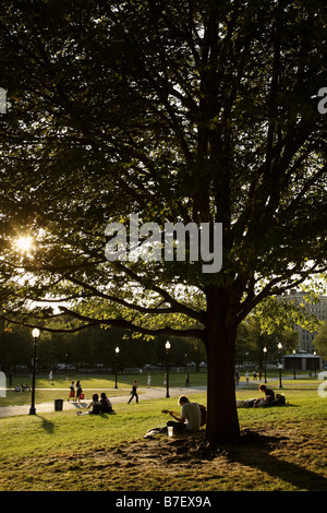 Le Boston Common, Boston, Massachusetts, USA Banque D'Images