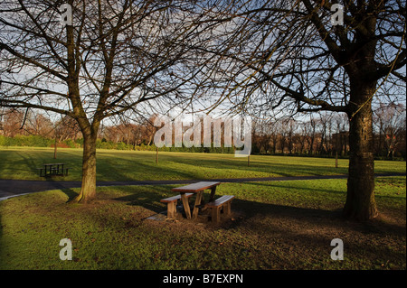 Hiver faible soleil projette l'ombre des arbres sans feuilles sur un banc de pique-nique dans la région de Maxwell Park sur le côté 'Sud' de Glasgow. Banque D'Images