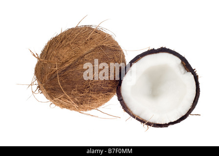 Coconut isolé sur fond blanc sans ombre ainsi son facile de sélectionner et modifier Banque D'Images