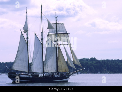 Tall Ship oosterschelde Banque D'Images