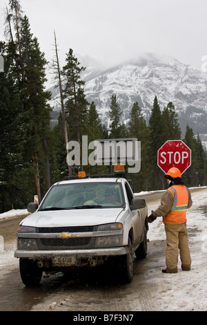 Le conducteur d'une voiture pilote s'arrête pour parler à un travailleur de la construction dans la région de Yellowstone. Banque D'Images
