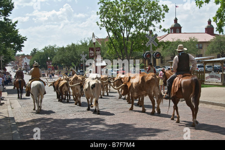 Texas Fort Worth Stockyards National Historic District l'élevage de bétail longhorn cow-boys Banque D'Images