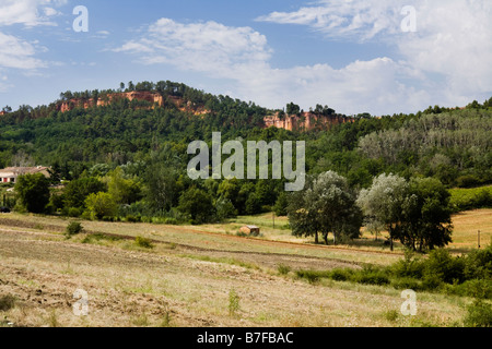 Green Valley de Luberon près de Roussillon avec vignes, Vaucluse, Provence, France Banque D'Images