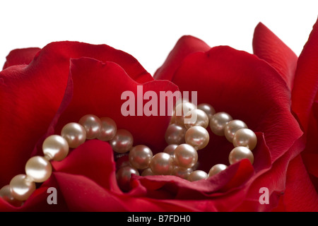 Avec perles rose rouge isolé sur fond blanc Banque D'Images