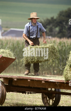 Fermier Amish, comté de Lancaster, Pennsylvanie, USA Banque D'Images