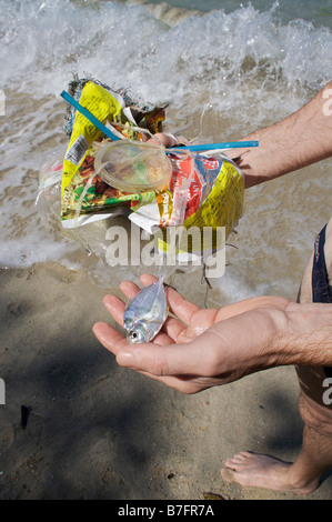 Homme tenant un poisson mort et d'ordures collectées à partir de la mer au cours d'une baignade. Banque D'Images