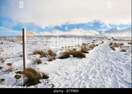 Pennine Way au début de la section qui relie Tan Hill Inn avec Keld de Swaledale. Banque D'Images