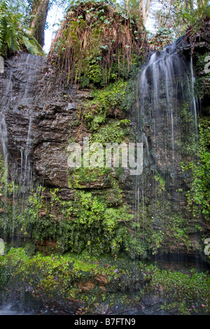 L'égoutte bien, Fairlight Glen, Hastings Country Park, East Sussex Banque D'Images