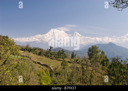 Vue depuis l'Australie dans le camp des contreforts himilayan - Regard sur l'Annapurna montagnes. Le Népal Banque D'Images