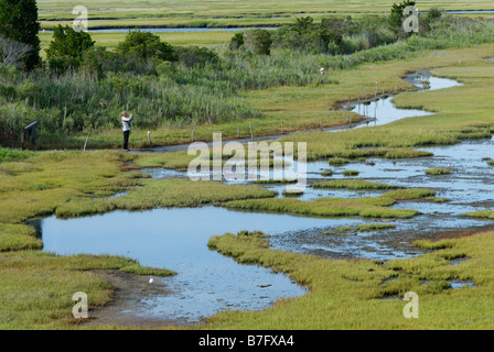 Personne l'observation d'un écosystème de zone humide du marais de sel, Wetlands Institute, 'Stone' Harbour, NJ Banque D'Images