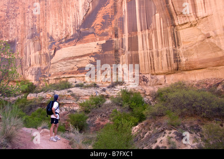 Un randonneur admire un énorme canyon mur au-dessus de la partie inférieure de Calf Creek Falls trail dans Grand Staircase Escalante Utah Banque D'Images