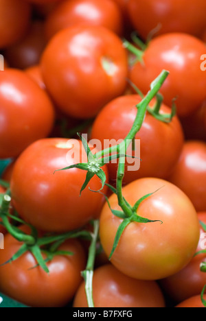 Les tomates au marché Kerrytown et magasins à Ann Arbor, Michigan, USA. Banque D'Images