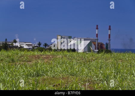 Canefactory avec sucre domaine tour Afrique Maurice Banque D'Images