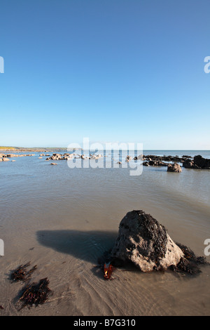 Marée basse dans la baie de Dungarvan Banque D'Images