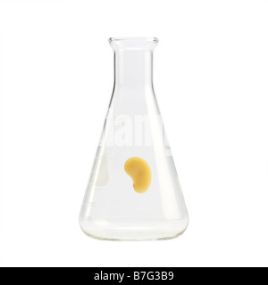 Graines jaune flottant dans un Erlenmeyer flask Banque D'Images