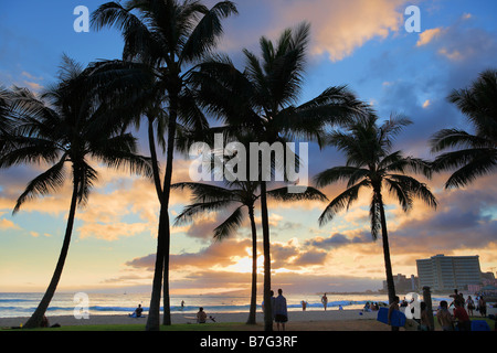 Au coucher du soleil de la plage de Waikiki à Honolulu, Hawaï Banque D'Images