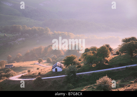 Dans la forêt d'Irati, Selva, Navarre Banque D'Images