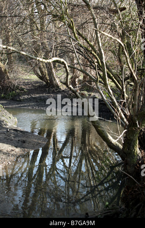 Une photo de la rivière Ravensbourne lorsqu'elle passe à travers champs Summerehouse, Beckenham Place Park, Lewisham Banque D'Images