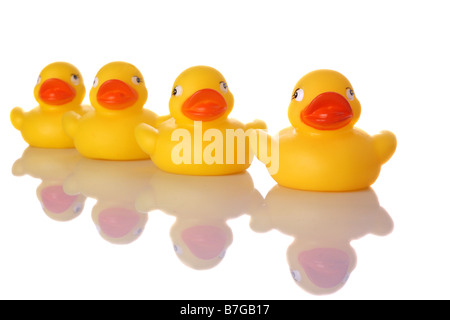 Quatre petits canards en caoutchouc assis dans une rangée avec la réflexion sur la surface blanche Banque D'Images