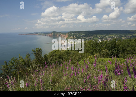 À l'ouest de Salcombe Hill vers Sidmouth sur la côte sud du Devon Banque D'Images