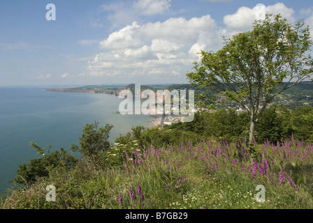 À l'ouest de Salcombe Hill vers Sidmouth sur la côte sud du Devon Banque D'Images