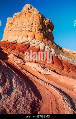 Rock coloré appelé 'Rock' sucette à White Pocket à Vermilion Cliffs National Monument, Arizona Banque D'Images