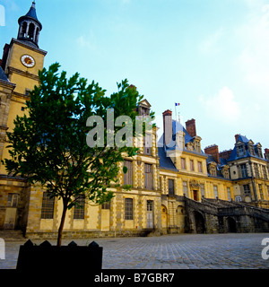 Cheval Blanc ou cour d'Adieu Chateau de Fontainebleau France Banque D'Images