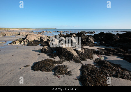 Marée basse dans la baie de Dungarvan Banque D'Images