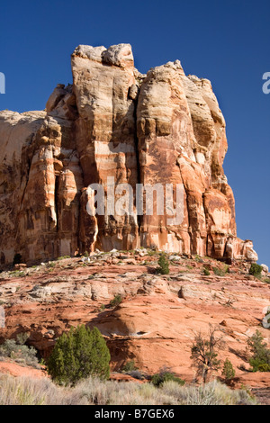 Rouge et blanc imposant rocher au-dessus de veau inférieur Creek Falls trail dans Grand Staircase Escalante Utah Banque D'Images