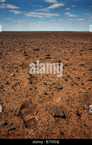 Plaine lune Oodnadatta Track près de Coober Pedy, South Australia, Australia Banque D'Images