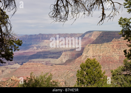 Vue panoramique sur Grand Canyon sur un ciel bleu Arizona USA Banque D'Images
