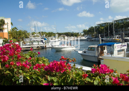 Marina holiday inn key Largo Banque D'Images