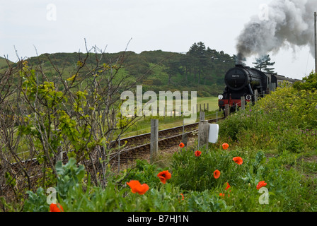 Un train à vapeur sur le chemin North Norfolk aussi connu sous le nom de ligne de pavot, près de Sherringham, Norfolk, Angleterre. UK Banque D'Images