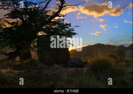 Silhouette d'arbres avec vue sur la montagne et nires coucher soleil nuages Parc National Los Glaciares en Patagonie argentine Banque D'Images