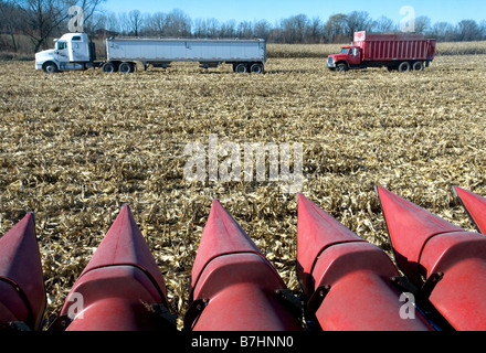 Patienter pendant le chargement des camions de grain comme vu depuis la cabine de la moissonneuse-batteuse. Banque D'Images