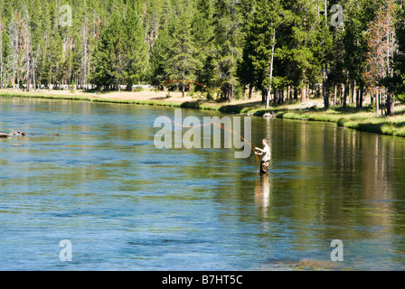 Un pêcheur La pêche à la mouche sur la rivière Madison dans le Parc National de Yellowstone Banque D'Images