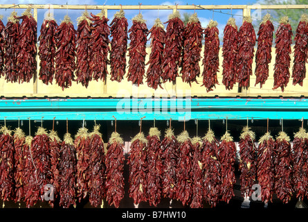 Piments séchés pendent dans le soleil au-dessus de store front Taos Nouveau Mexique Banque D'Images