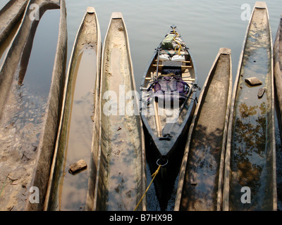 Style canadien canoe pirogue et canots en bois amarré côte à côte sur les rives du fleuve Congo, République démocratique du Congo Banque D'Images