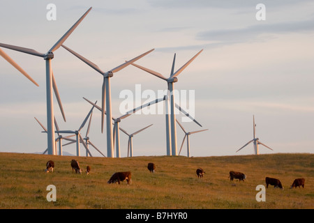 Les moulins à vent utilisés pour produire de l'énergie électrique à Cowley Ridge dans le sud de l'Alberta, Canada Banque D'Images