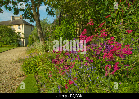 Green Templeton College Oxford Jardin Banque D'Images